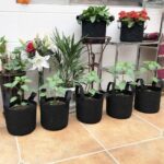 best grow bags