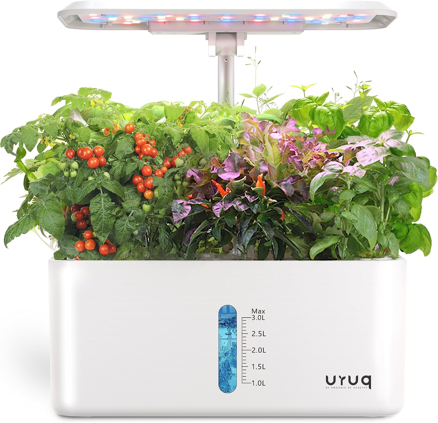 Best indoor herb garden kits with LED lights