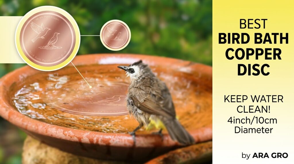 Best Bird Bath Copper Disc
