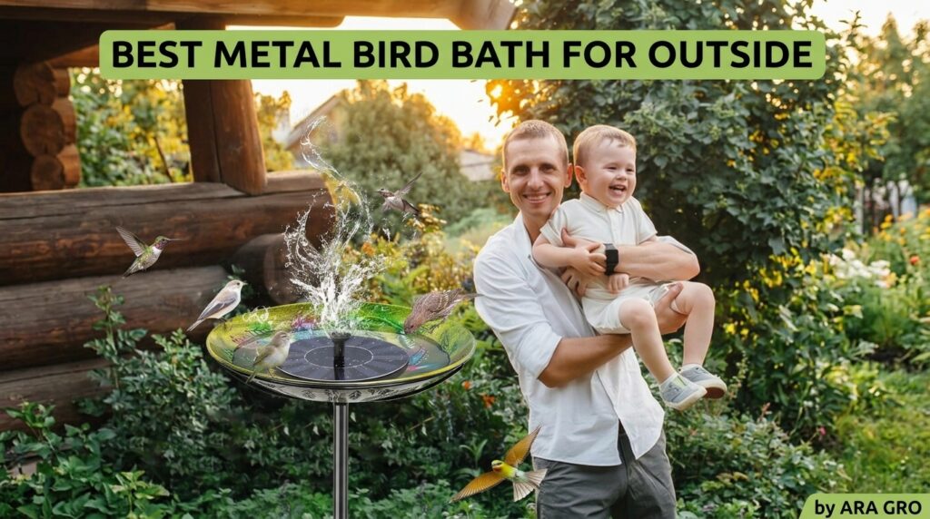 Best Metal Bird Bath for Outside