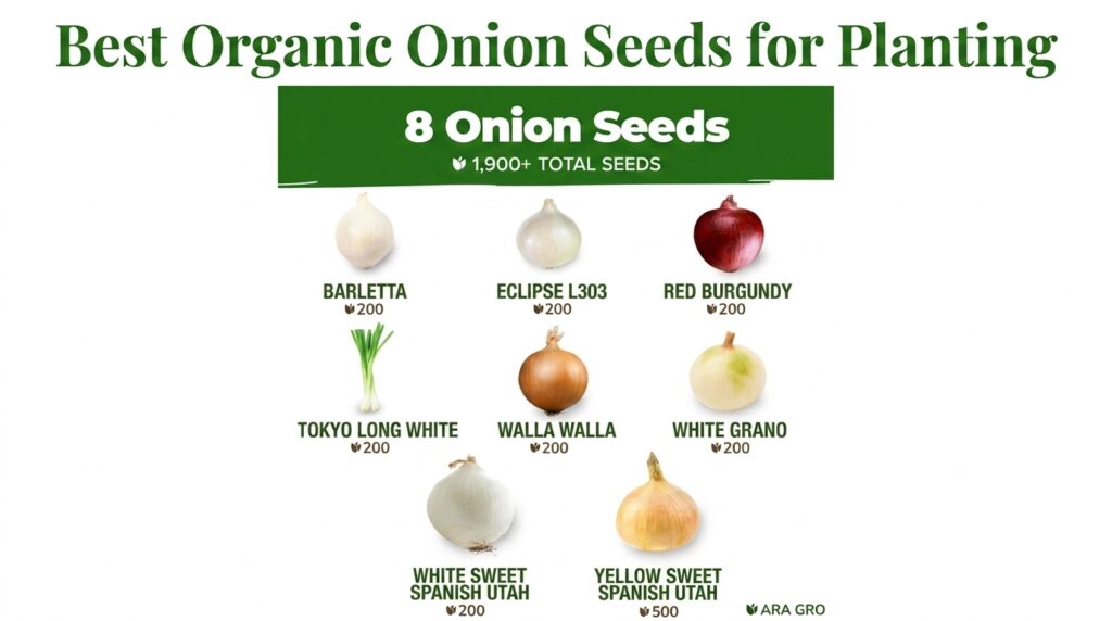 Organic Onion Seeds