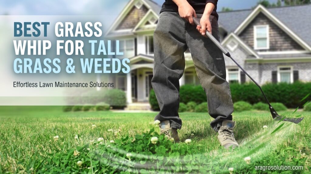 Best Grass Whip for Tall Grass And Weeds