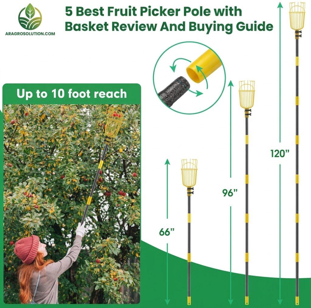 5 Best Fruit Picker Pole with Basket Review And Buying Guide